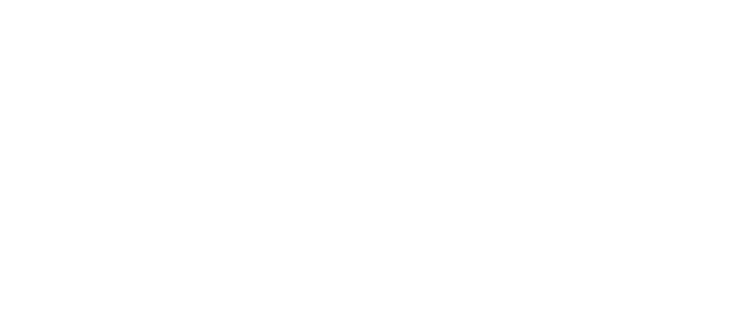 Logo Shaper School