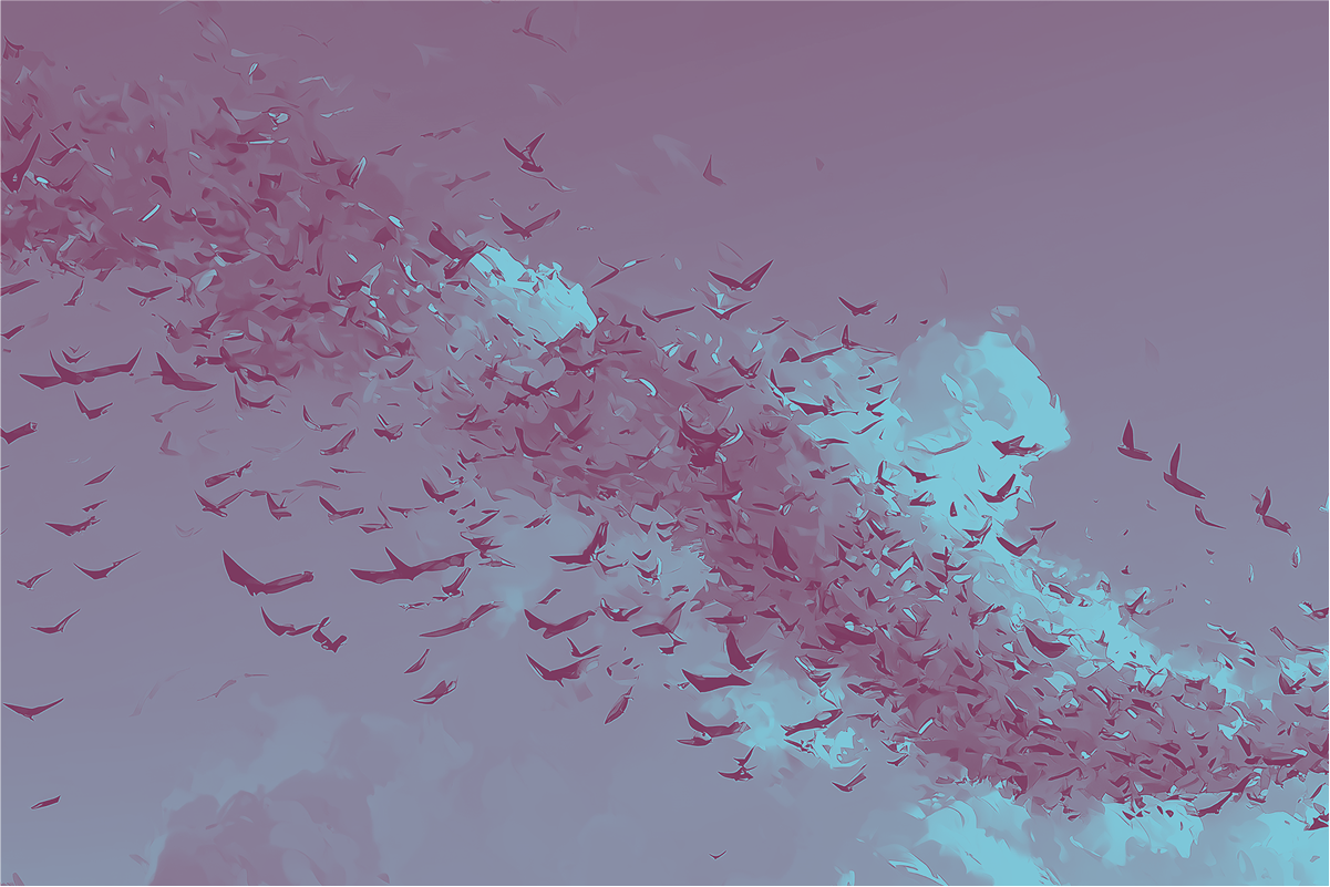 Envolée d'oiseaux