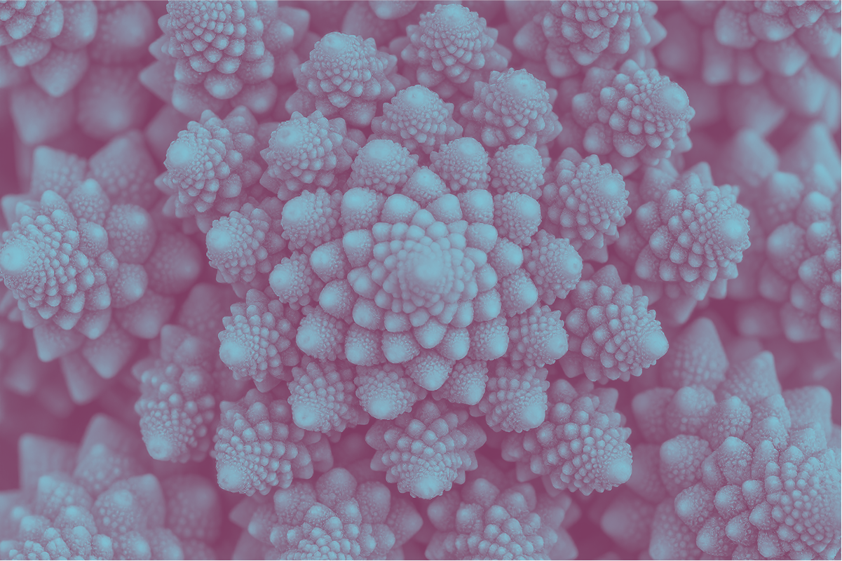 Fractales d'un chou romanesco
